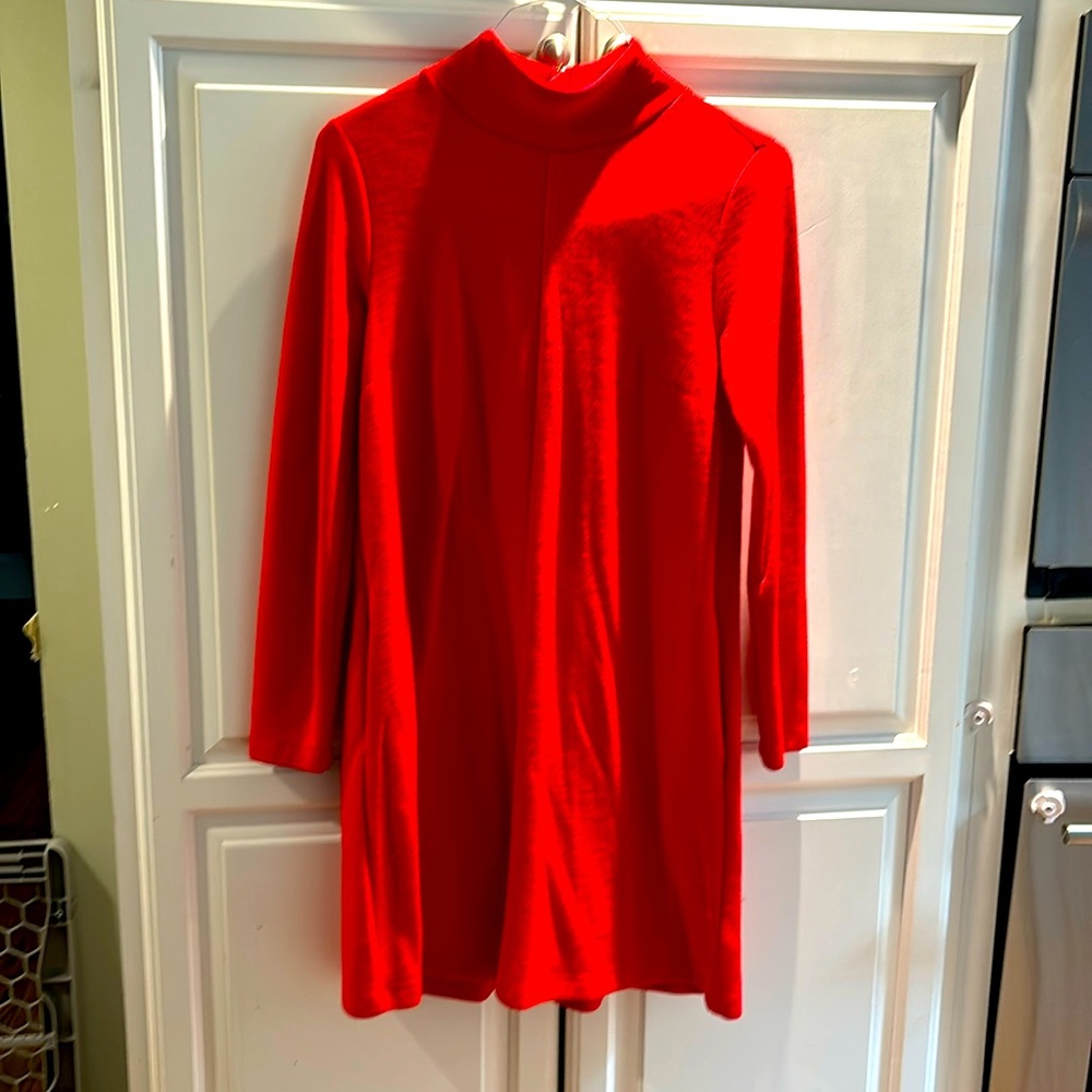 GAP long sleeve flattering dress